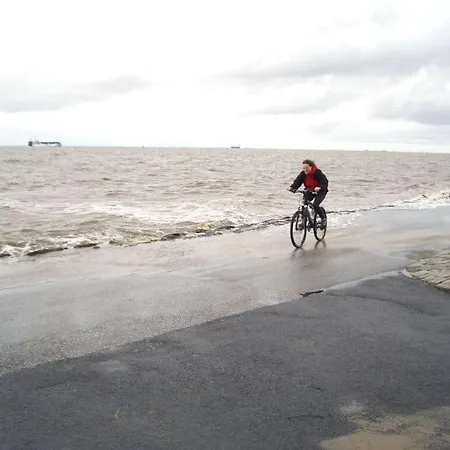 Seehund Comfortable Semesterbostad Otterndorf