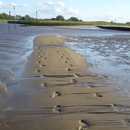 Seehund Comfortable *