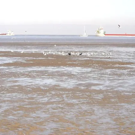 Seehund Comfortable Semesterbostad *