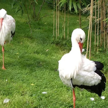 Semesterbostad Seehund Comfortable Otterndorf